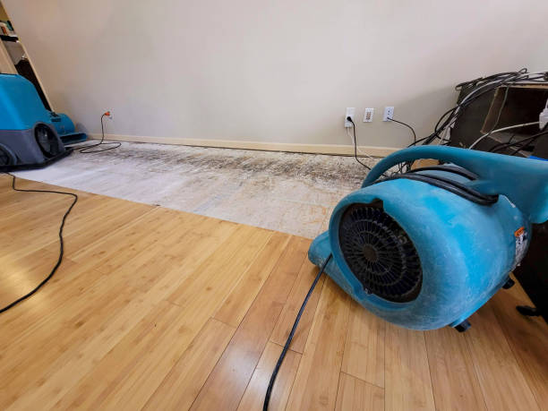 Professional Basement Flood Cleanup technician working in Fort Mohave, AZ